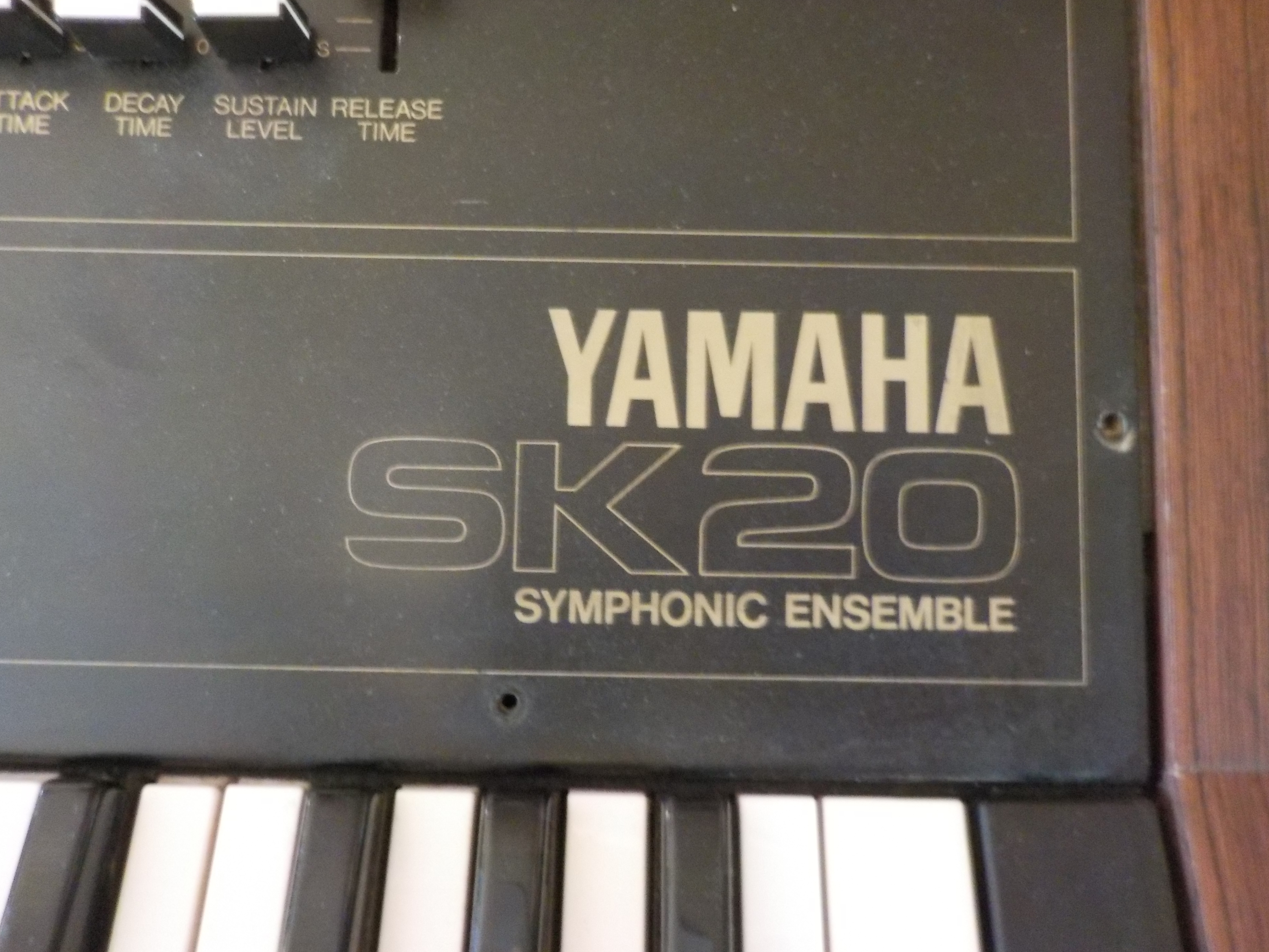 Yamaha-SK20_1